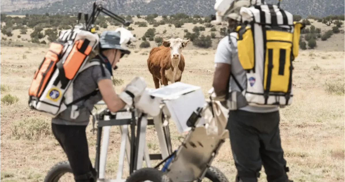 NASA Astronauts Have Close Encounter Of The Bovine Kind In Preparation